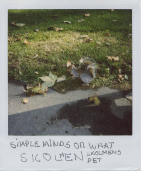 The Polaroid Trip 24